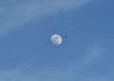 Low angle view of moon in sky