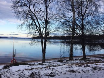 Bare tree by frozen lake against sky during winter