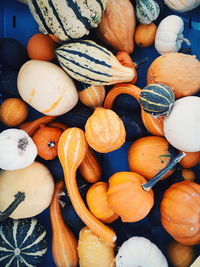 High angle view of pumpkins in market