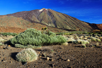 Landscape against rocky mountains and blue sky