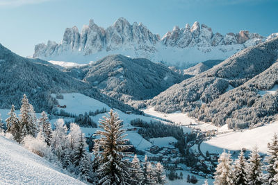 Winter panorama of fir trees covered with white snow with dolomites mountain background, italy.