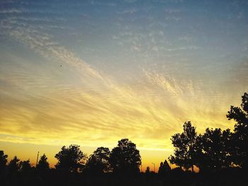 Low angle view of silhouette trees against sky during sunset
