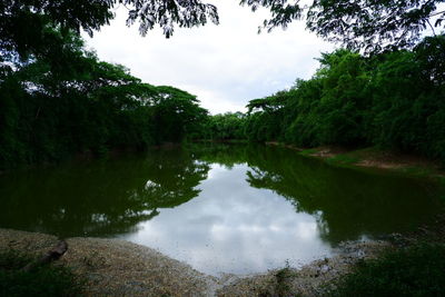 Scenic view of lake in forest against sky