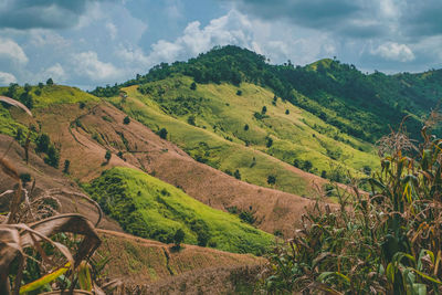 Scenic view of landscape against sky