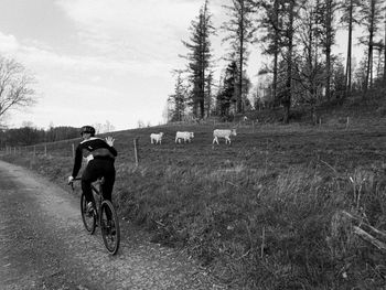 Rear view of man riding bicycle on field