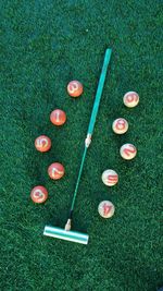 High angle view of golf on grassy field