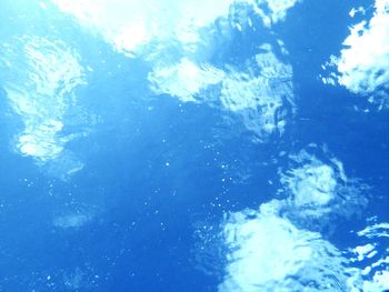 Low angle view of swimming underwater