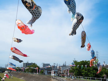 Low angle view of fish hanging against sky