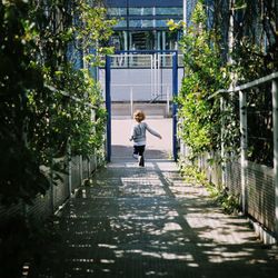 Rear view of little girl walking on footpath amidst trees