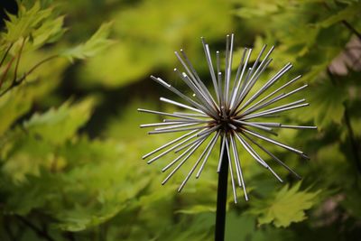 Spiky spiky spiky ...