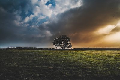 Scenic view of field against sky during sunset