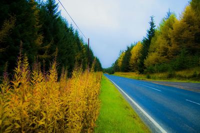 Road passing through field