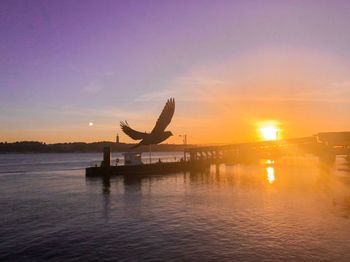 Silhouette man by sea against sky during sunset