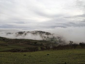 Scenic view of landscape against sky