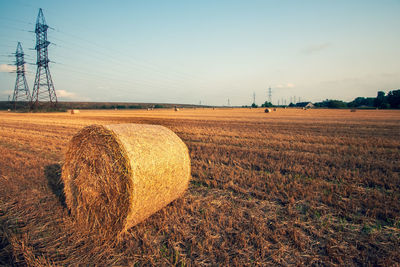 Hay bale in a roll on a mowed field. a lot of hay away. many large high power lines against the sky.