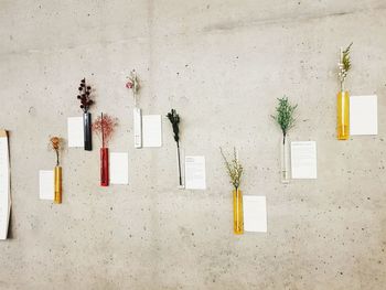 Directly above shot of various plants in test tubes with labels on table