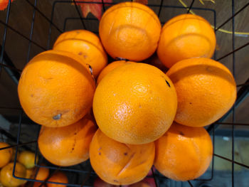 High angle view of orange fruits