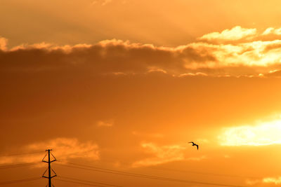 Low angle view of silhouette bird flying against orange sky