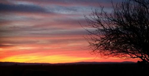 Silhouette bare tree against sky during sunset