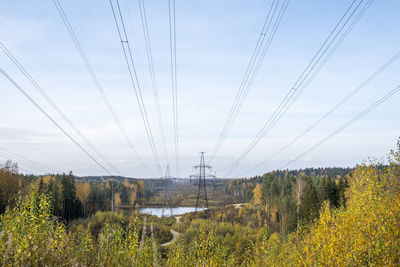 Plants growing on land against sky