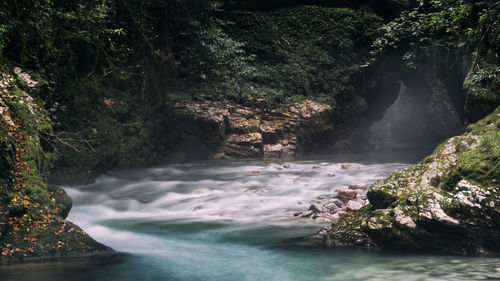 Scenic view of waterfall in forest