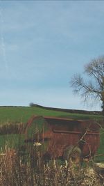 Trees on grassy field against sky