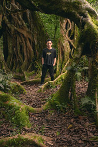 Man standing in forest. big giant tree at bali botanical garden. spooky old giant tree background.