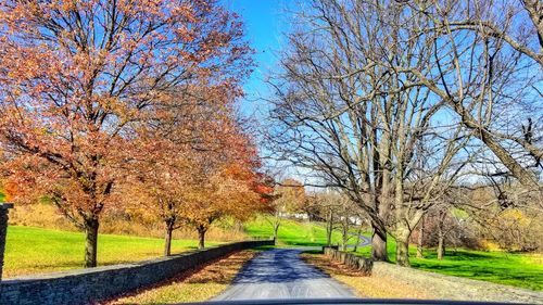 Road amidst bare trees during autumn