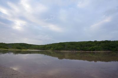 Reflection of trees in lake