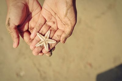 Close-up of hand holding sand