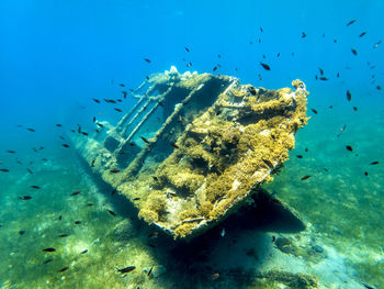 A shipwreck at the island of kythnos, greece