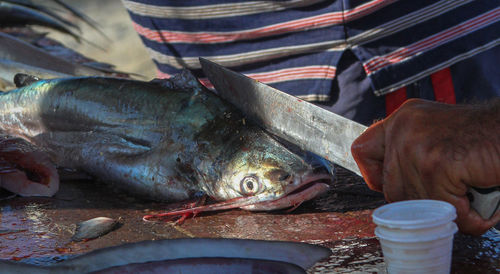 Man holding fish for sale at market