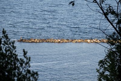 High angle view of a sea