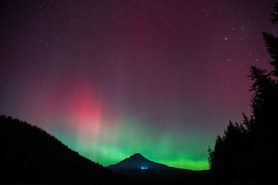 Scenic view of silhouette trees against sky at night