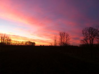 Silhouette of trees on landscape at sunset