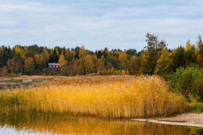 Scenic view of field against sky during autumn