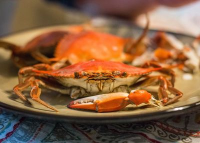 Close-up of crab in plate on table