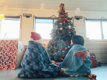 Rear view of christmas tree at home