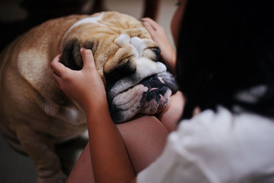 Midsection of woman with dog