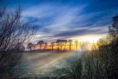 Bare trees on field against sky during sunset