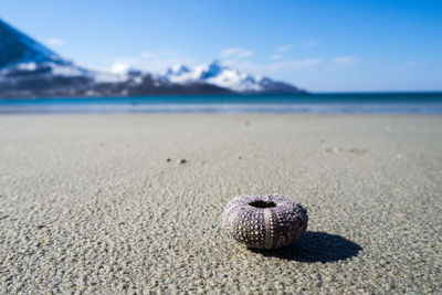 View of beach against blue sky