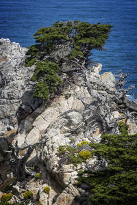 High angle view of rocks by sea