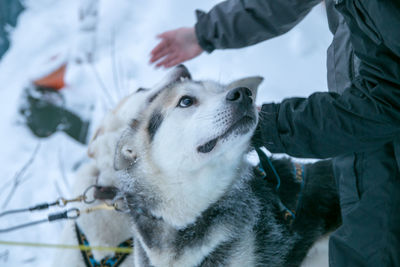 Close-up of man with dog