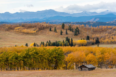 Scenic view of field against sky during autumn