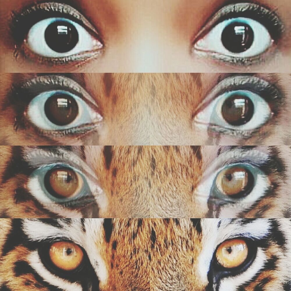 Instaeyes