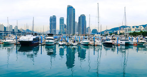 Sailboats moored on harbor against buildings in city