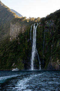 Scenic view of waterfall in forest