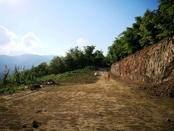 Dirt road amidst trees against sky