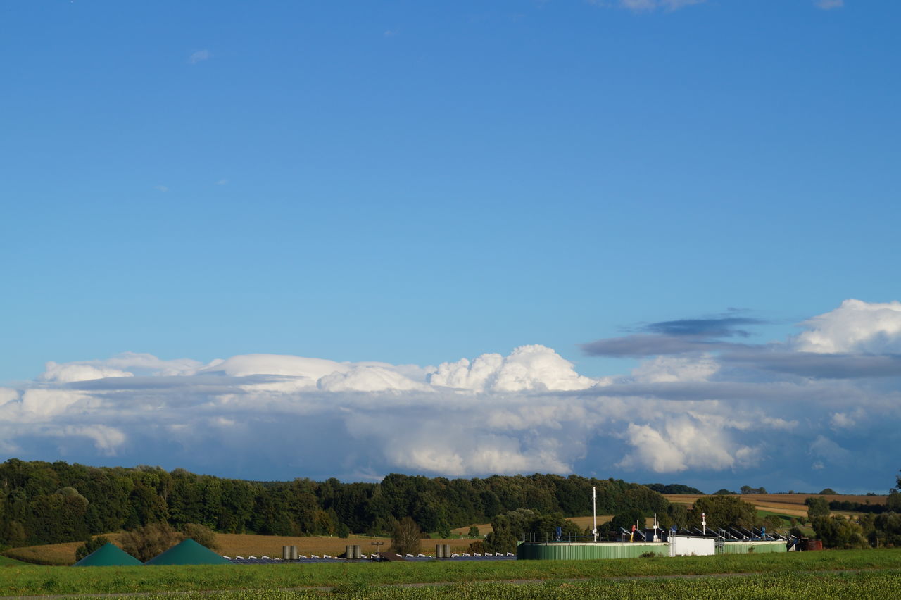 landscape, grass, tranquil scene, copy space, blue, mountain, tranquility, scenics, beauty in nature, non-urban scene, travel destinations, sky, green color, day, tourism, nature, green, growth, solitude, mountain range, outdoors, cloud - sky, agriculture, vacations, countryside, remote, farm, rural scene