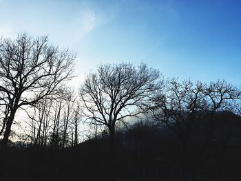 Silhouette of bare trees against sky